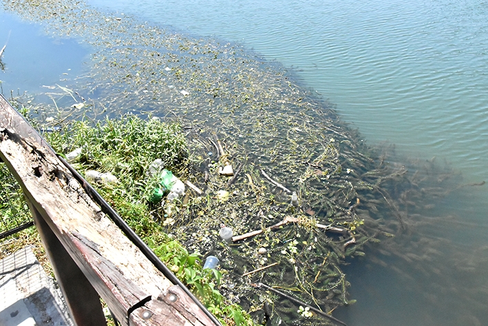 Villa María: por qué hay cada vez más algas en el balneario municipal