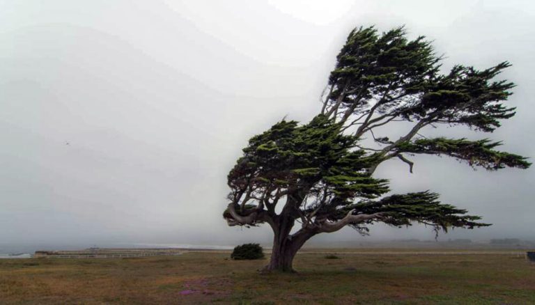 Mientras el campo aguarda por más agua para los suelos, rigen alertas por tormentas y calor extremo